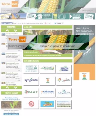 Dossier spécial maïs grain de Terre-net.