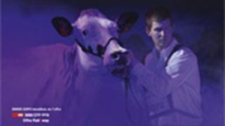 Liste des Prim'holsteins françaises à Lausanne Liste des Prim'holsteins françaises à Lausanne
