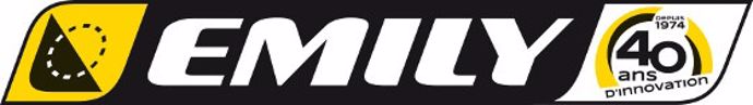 Logo 40 ans Emily