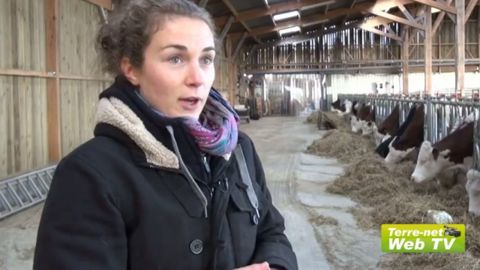 Dans l’Yonne, Fanny et Adrien remettent des vaches sur la ferme céréalière Dans l’Yonne, Fanny et Adrien remettent des vaches sur la ferme céréalière