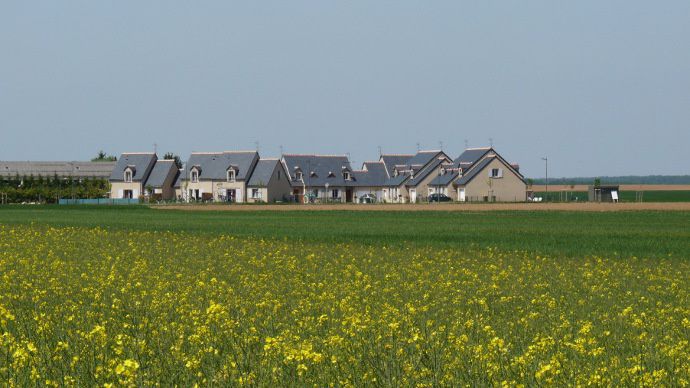 Paysage agricole