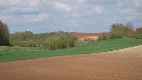 En Allemagne, convergence à 100 % et majoration des 46 premiers hectares