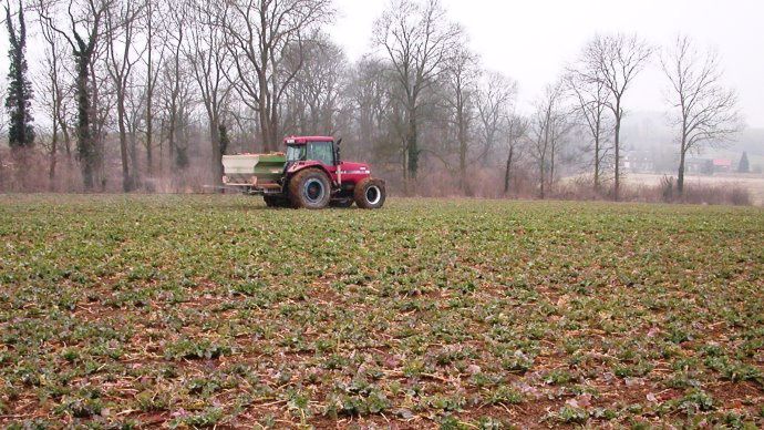 Fertilisation du colza
