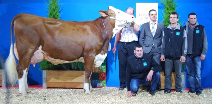 Félicia, Championne jeune Montbéliarde lors du dernier SIA