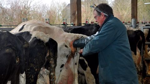 Près d’une tonne de lait gagnée en dix ans