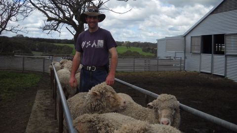 Un redéploiement contraint de la production ovine