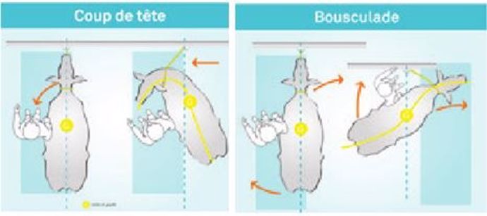 Maintenir la colonne vertébrale rectiligne évite les mouvement de défence.