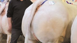 A Feurs - 130 ans du Comice A Feurs - 130 ans du Comice