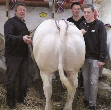 grand prix d’honneur boeuf appartenant à Patrick Boichon de Civens