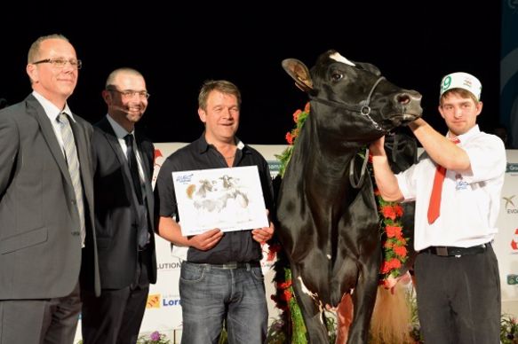La championne jeune Duf Faena (Goldwyn x Terrason)