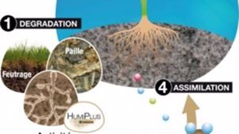 HumiPlus de Timac Agro accélère la décomposition des matières organiques HumiPlus de Timac Agro accélère la décomposition des matières organiques