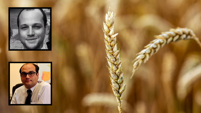 Laurent Crastre (Tallage) et Gautier Le Molgat (Agritel) apportent leur expertise sur le marché du blé. (©Laurent Crastre, Gautier Le Molgat, Pixabay / Création Terre-net Média)  (©Pixabay) 