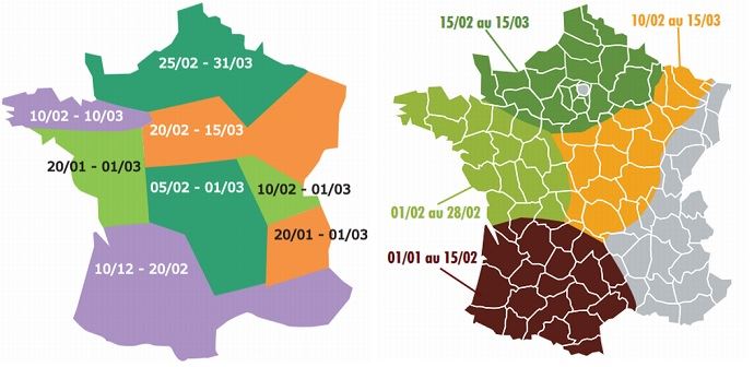 Préconisations des dates de semis pour les pois et les féveroles de printemps