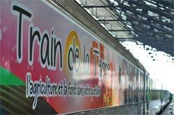 Train de la terre