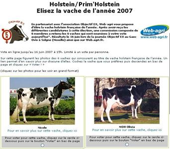 Elisez la vache holstein frnçaise de l'année 2007