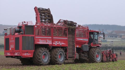 Belarus veut revenir