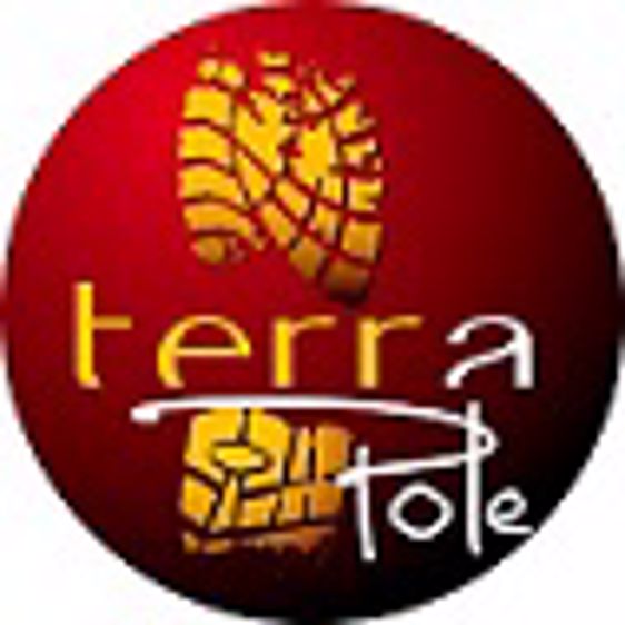 1 Animateur de réseau