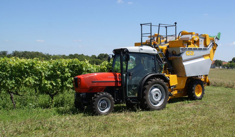Grégoire facilite la vendange