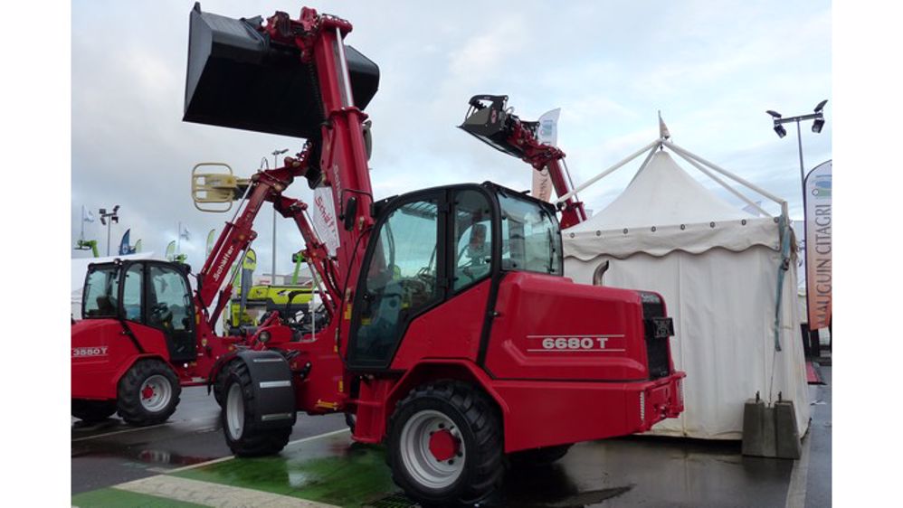 Un valet de ferme Schäffer de taille intermédiaire 