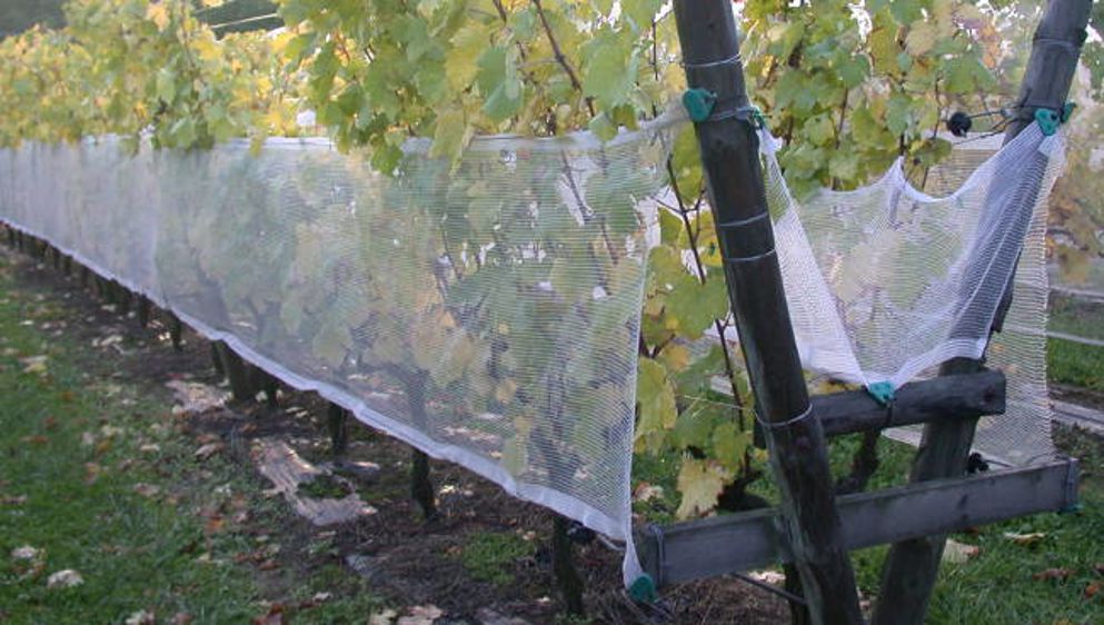 Le recyclage chez le concessionnaire