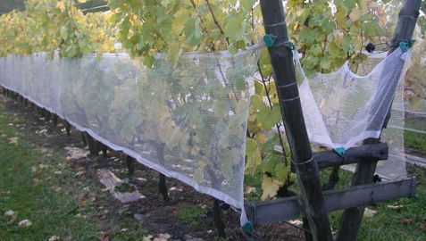 Le recyclage chez le concessionnaire Le recyclage chez le concessionnaire