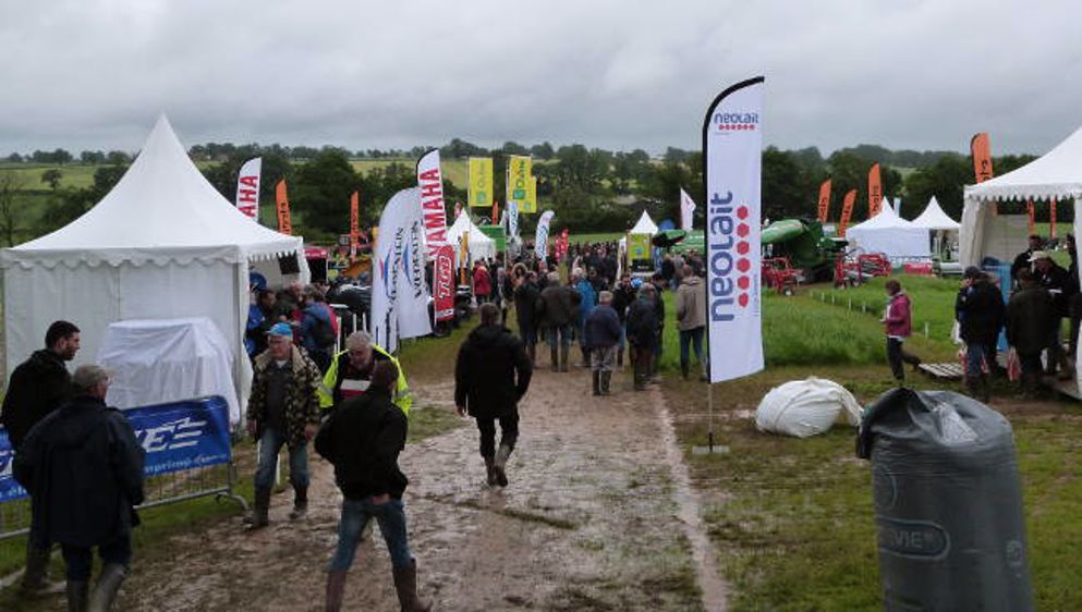 La pluie n'arrête pas le Salon de l'Herbe