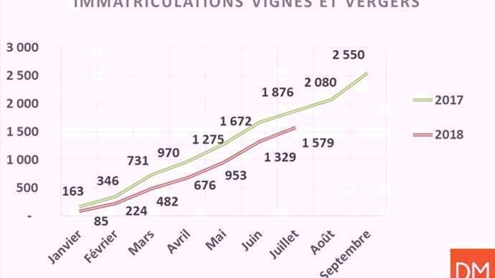 Du mieux en juillet Du mieux en juillet