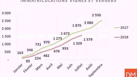 Du mieux en juillet Du mieux en juillet