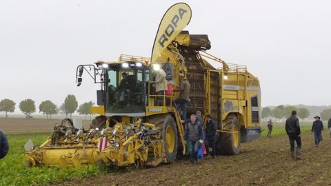 L'arracheuse Panther 2 de Ropa plus véloce