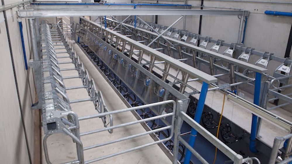 Fullwood-Packo Quick : les vaches sortent vite de la traite Fullwood-Packo Quick : les vaches sortent vite de la traite