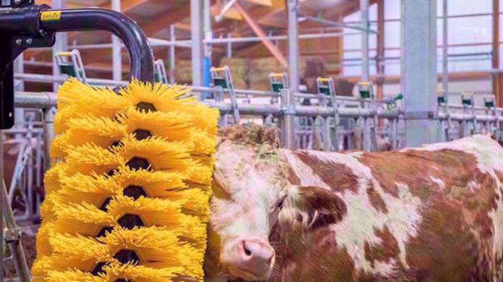 Patura : des brosses au service du confort Patura : des brosses au service du confort