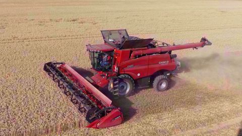 Case IH Axial-Flow série 250 : conduite facilitée Case IH Axial-Flow série 250 : conduite facilitée
