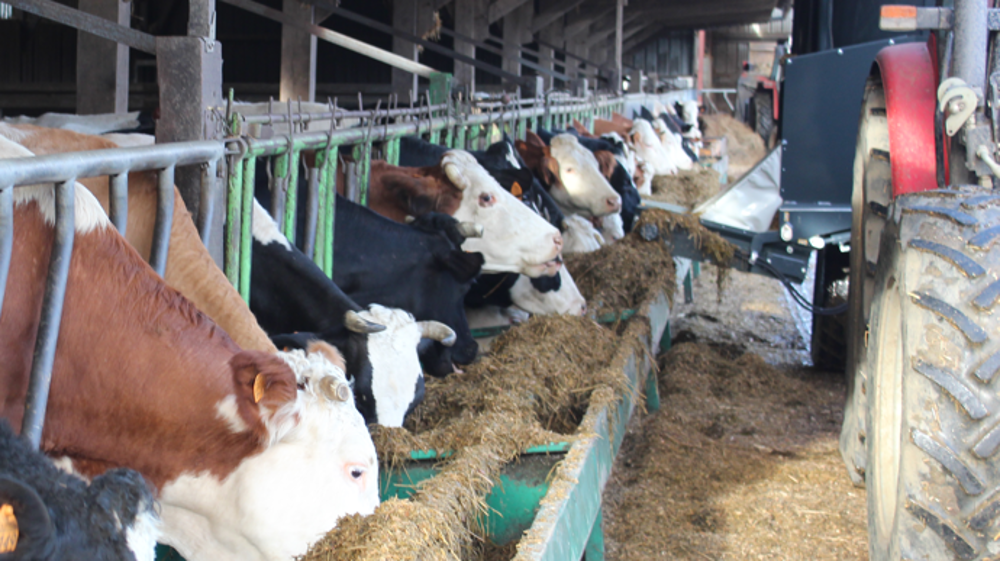 Témoignage : Bruno Guitton - Eleveur bio dans la Sarthe