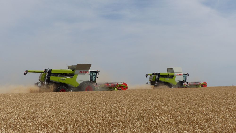 Claas Lexion 5000-6000 : le retour d'une légende