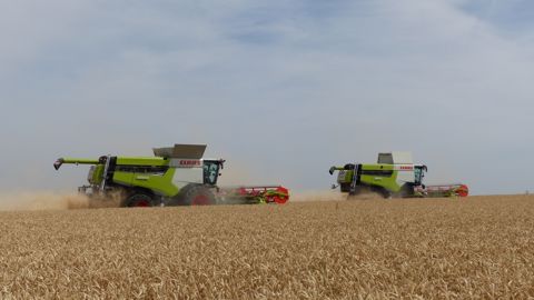 Claas Lexion 5000-6000 : le retour d'une légende Claas Lexion 5000-6000 : le retour d'une légende
