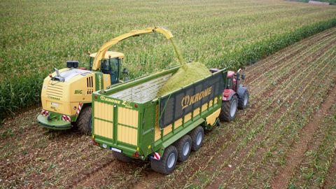 Krone BiG X 650, toujours aussi affûtée Krone BiG X 650, toujours aussi affûtée