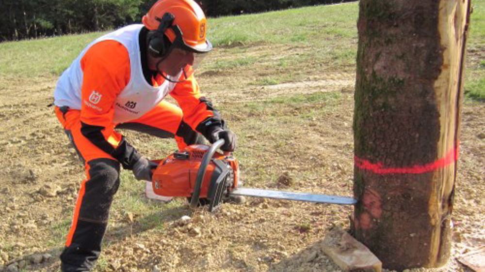 Coupe de bois sportive : la seconde manche se joue en avril Coupe de bois sportive : la seconde manche se joue en avril