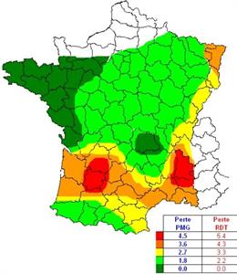 Pertes potentielles de Pmg et de rendement pour la moitié Sud de la France.