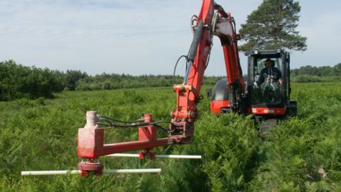 Kirpy : le bâton pour battre les fougères Kirpy : le bâton pour battre les fougères