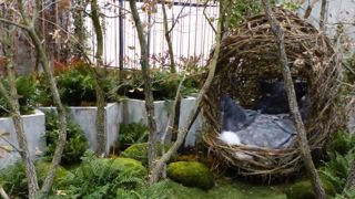 Carré des Jardiniers (Paysalia) : le concours en images