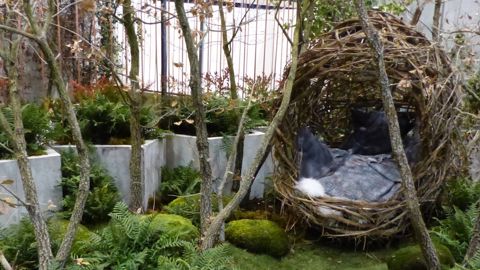 Carré des Jardiniers (Paysalia) : le concours en images Carré des Jardiniers (Paysalia) : le concours en images
