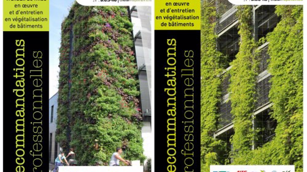 Unep : des nouvelles règles professionnelles sur la végétalisation des bâtiments