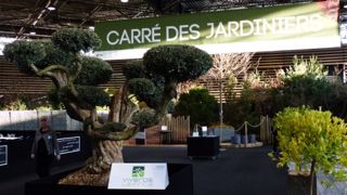 Carré des Jardiniers 2017 : cinq lauréats pour le jardin de soins