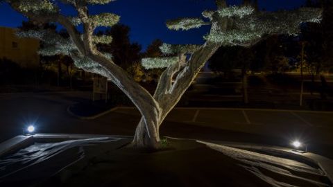 Nowatt Lighting : un éclairage solaire de haut niveau Nowatt Lighting : un éclairage solaire de haut niveau