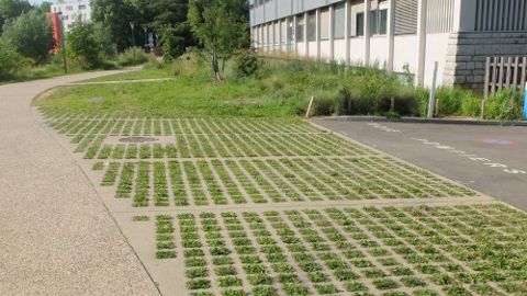Via Sols : un moulage malin pour des sols en béton végétalisés Via Sols : un moulage malin pour des sols en béton végétalisés
