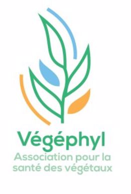 Logo Végéphyl