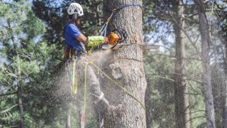 Rencontres Nationales d'Arboriculture à Vichy du 23 au 25 juin