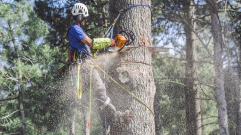Rencontres Nationales d'Arboriculture à Vichy du 23 au 25 juin Rencontres Nationales d'Arboriculture à Vichy du 23 au 25 juin