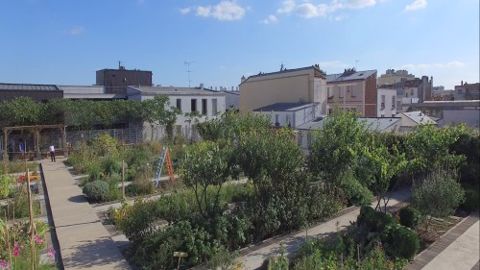 Paris lance l'appel à projet « Les Parisculteurs » Paris lance l'appel à projet « Les Parisculteurs »