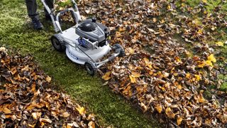 Comment éliminer les feuilles avec une tondeuse ? Un professionnel vous explique.